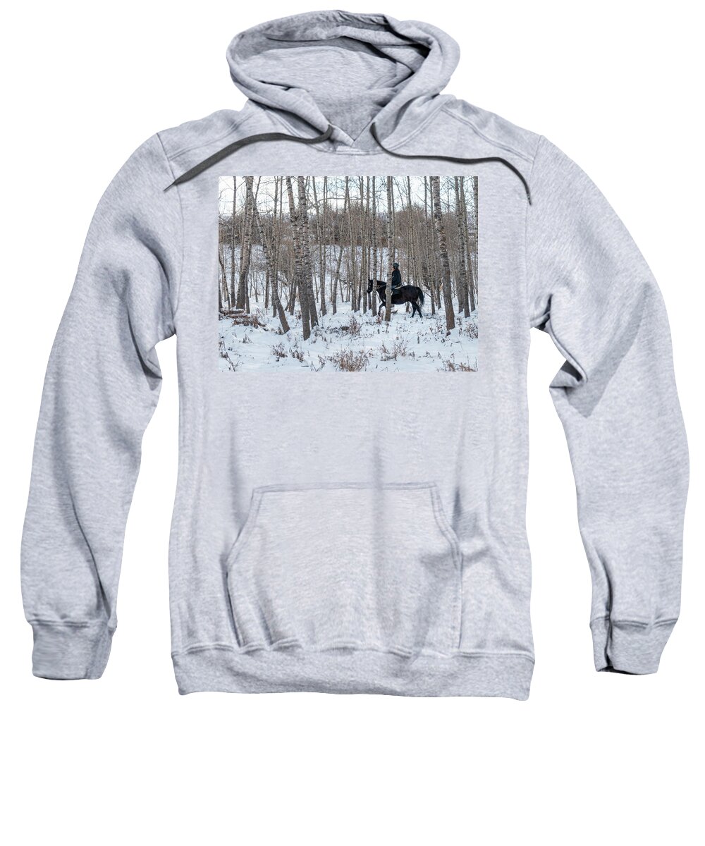 Horse Sweatshirt featuring the photograph Black Horse In Winter Woods by Karen Rispin