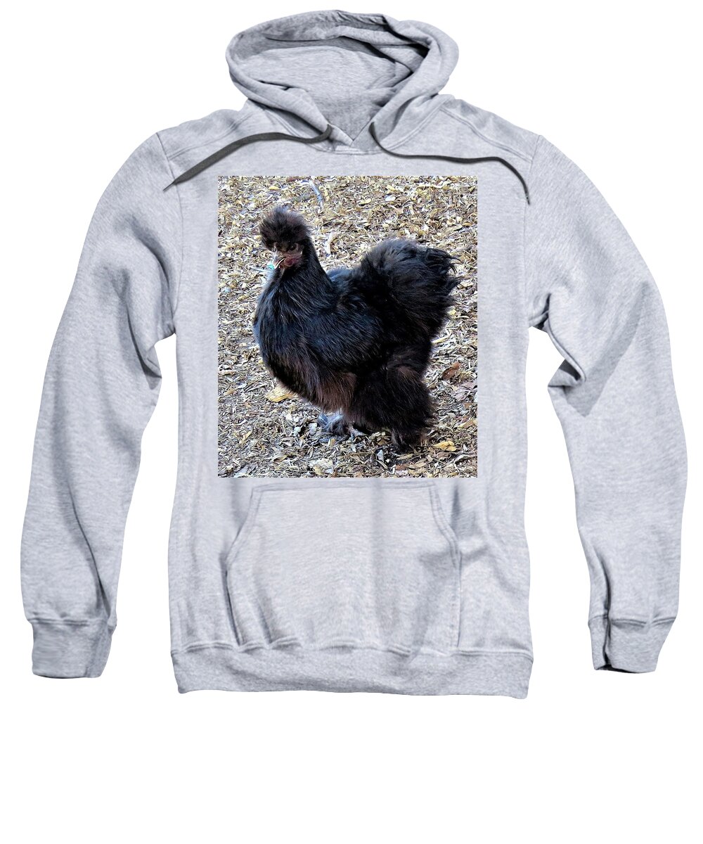 Black Chickens Sweatshirt featuring the photograph Black Silkie Bantam by Linda Stern