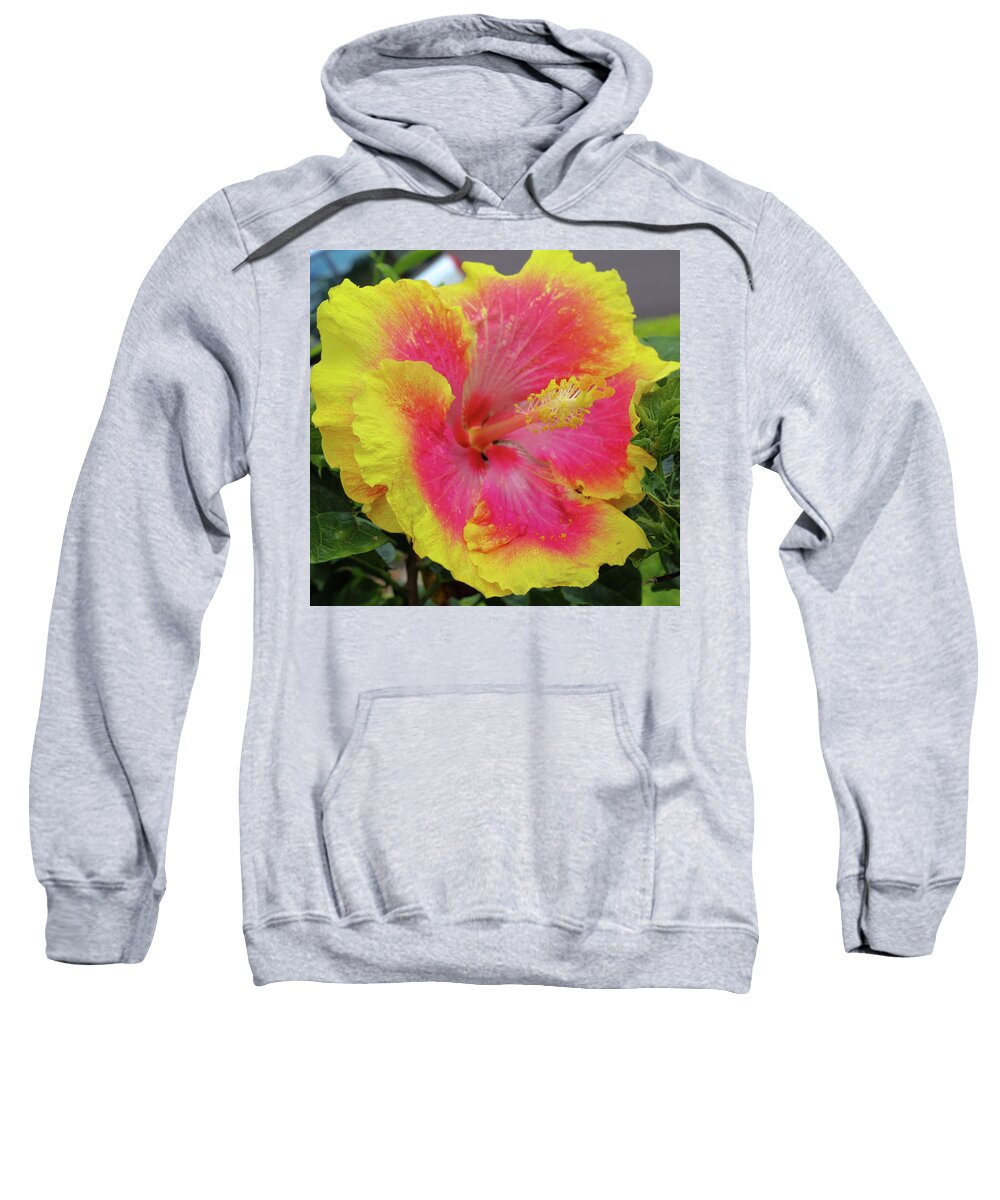 Hibiscus Sweatshirt featuring the photograph Bleeding Pink by Tony Spencer