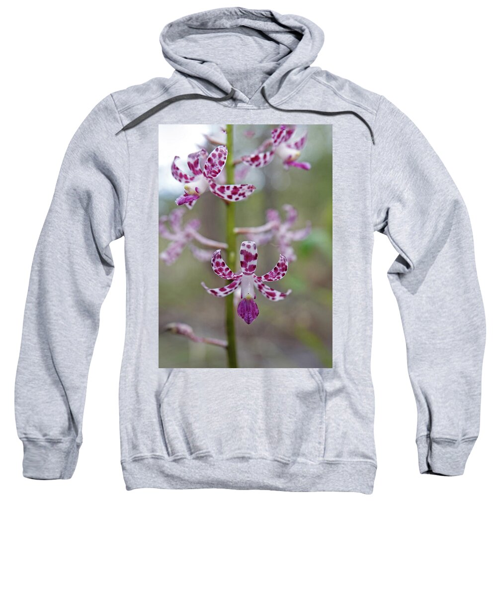 Flowers Sweatshirt featuring the photograph Blotched Hyacinth Orchid by Maryse Jansen