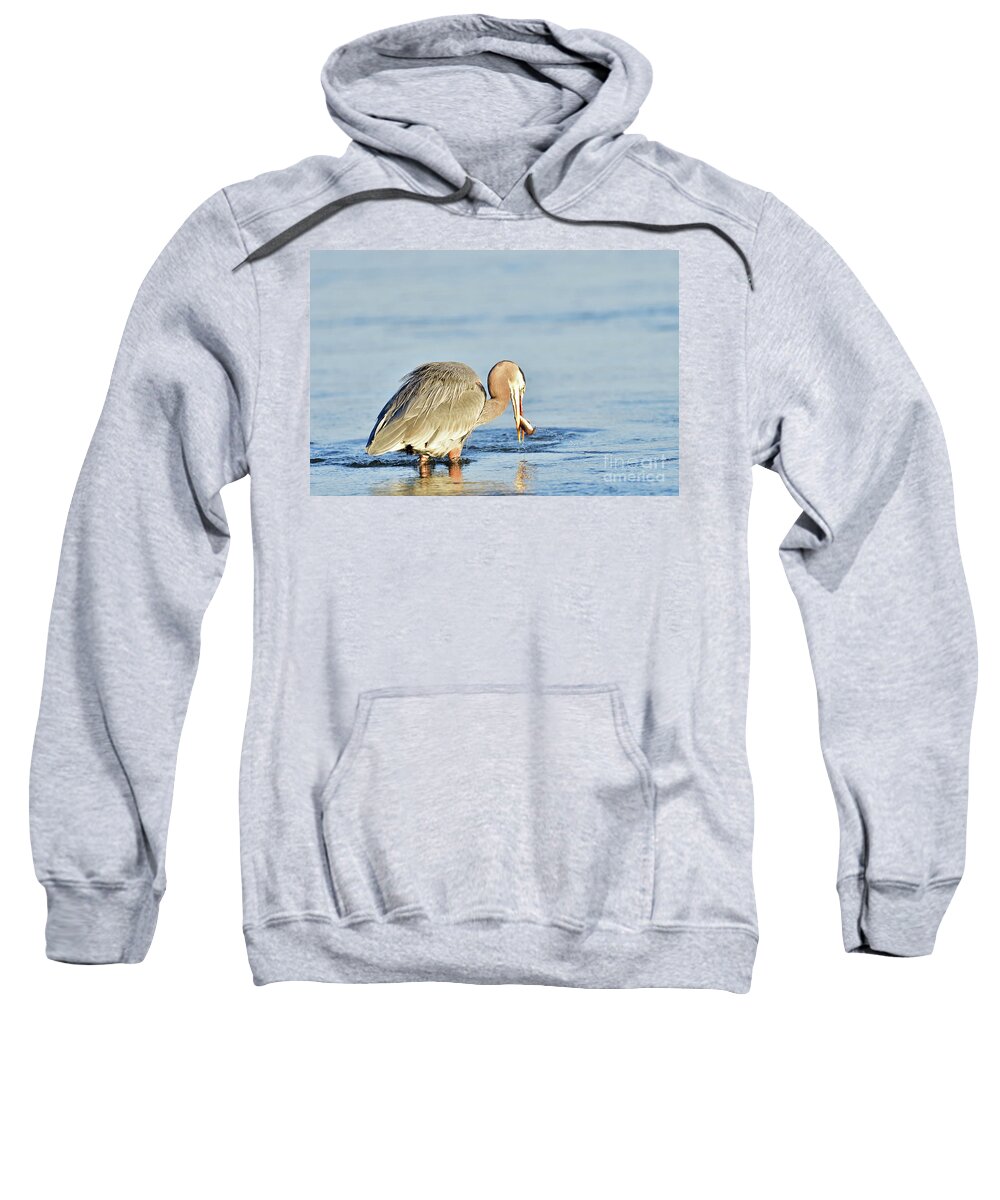 Blue Heron Sweatshirt featuring the photograph Great Blue Heron with a Fish in the Bill by Amazing Action Photo Video