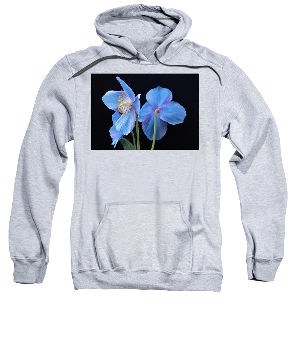 Longwood Gardens Sweatshirt featuring the photograph Blue Poppy by Georgette Grossman