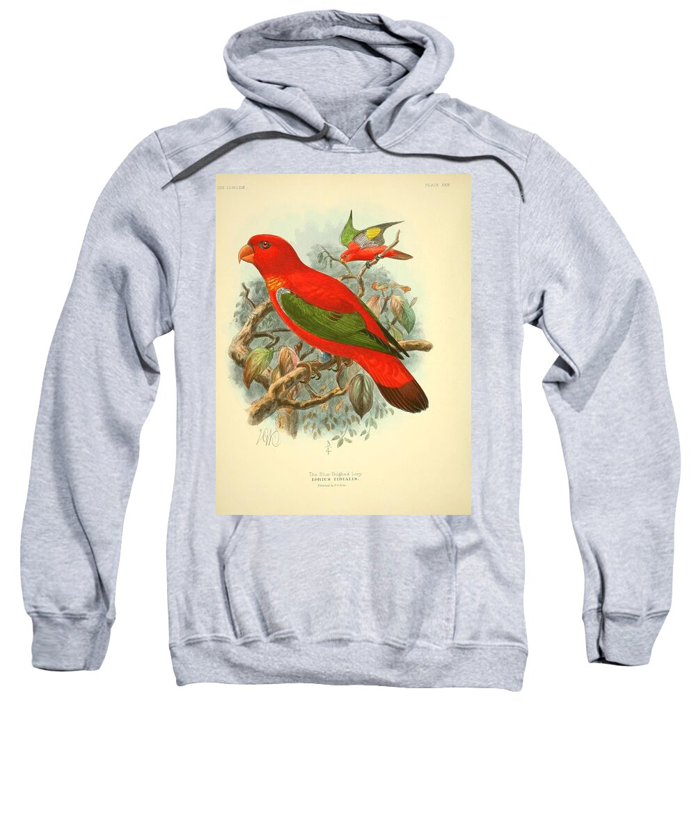 Bird Sweatshirt featuring the mixed media Blue Thighed Lory by World Art Collective