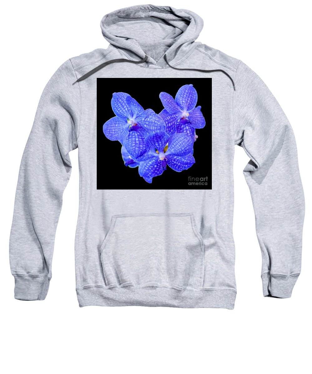 Blue Vanda Sweatshirt featuring the photograph Blue Vanda Orchids, 1-22 by Glenn Franco Simmons