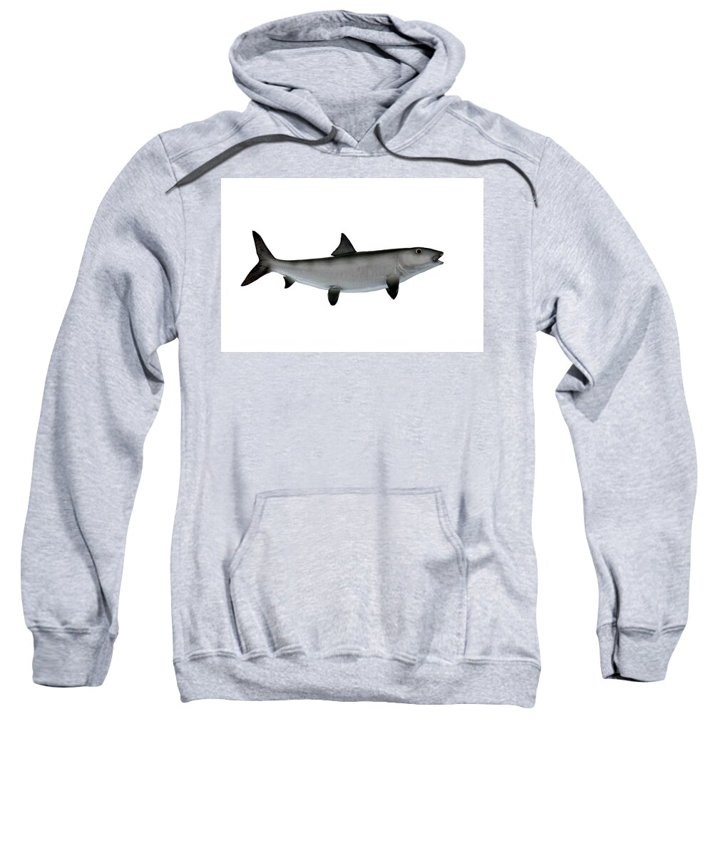Fishing Sweatshirt featuring the painting Bonefish by Les Classics