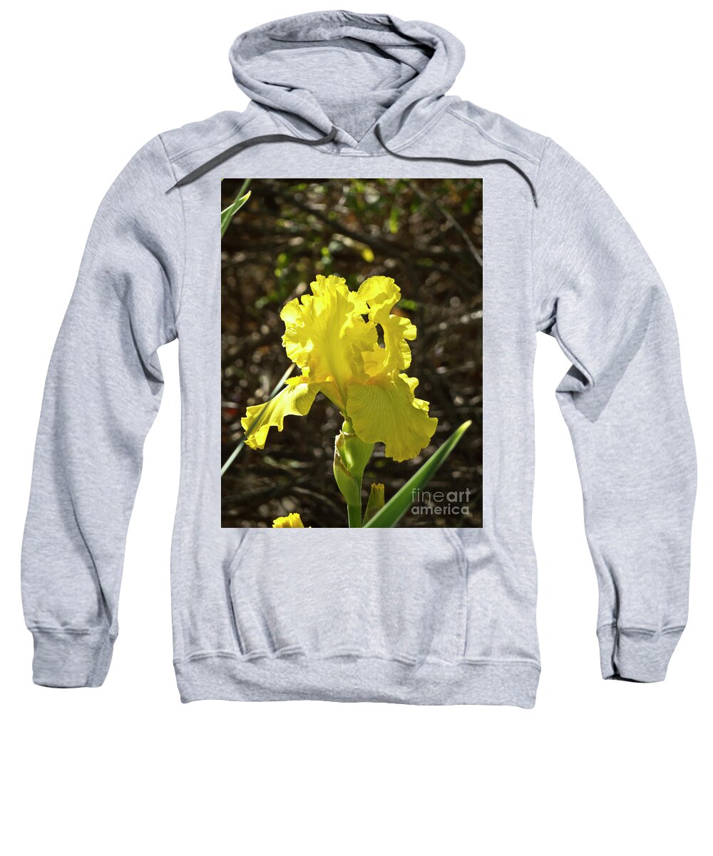 Boyce Thompson Arboretum Sweatshirt featuring the photograph Bright Yellow in the Sun by Kathy McClure