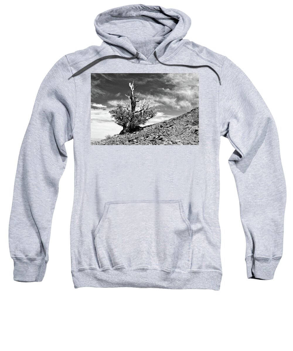 Ca Sweatshirt featuring the photograph Bristled Tutu by American Landscapes