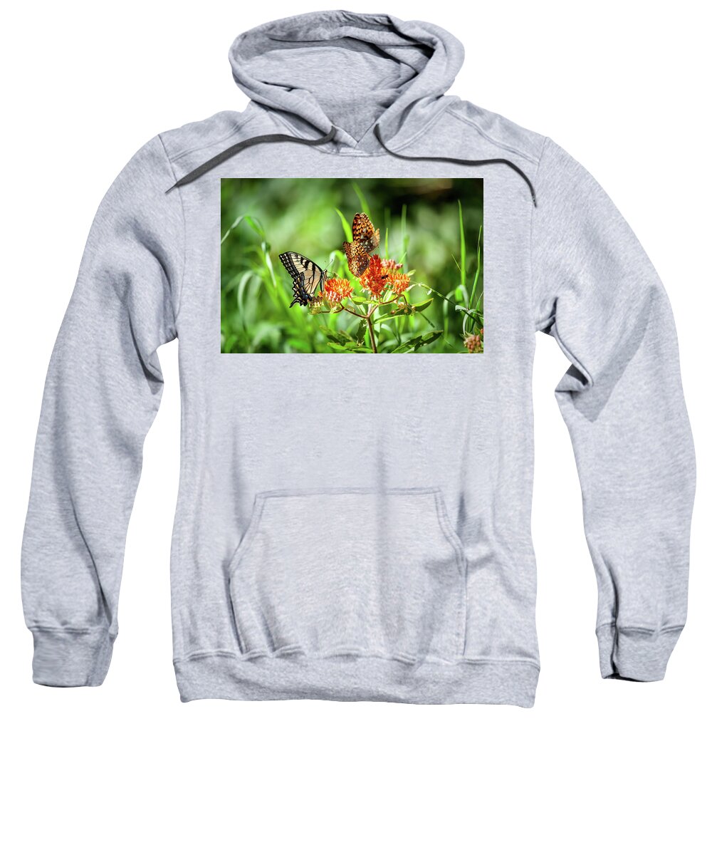 North Carolina Sweatshirt featuring the photograph Butterfly Harmony by Dan Carmichael