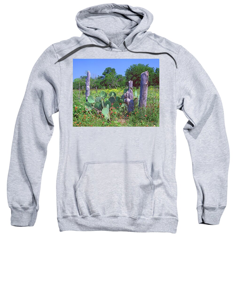 Cactus Sweatshirt featuring the photograph Cactus with Wildflowers by Jim Smith