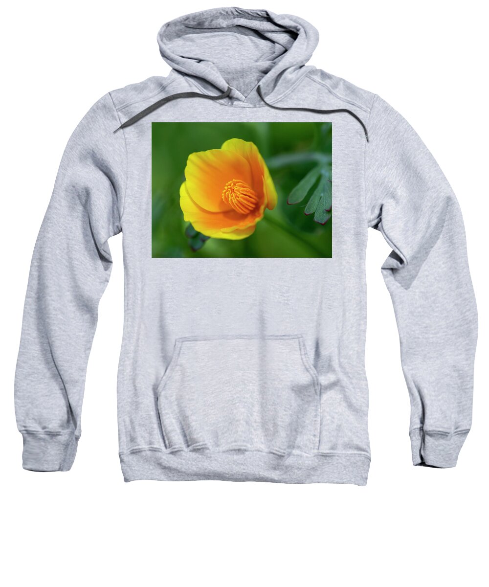  Sweatshirt featuring the photograph California Poppy #2 by Carla Brennan