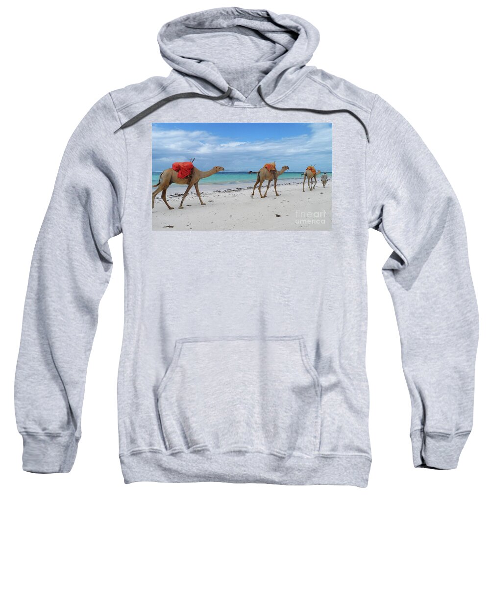 Beach Sweatshirt featuring the photograph Camels crossing a white beach in Mombasa, Kenya by Mendelex Photography