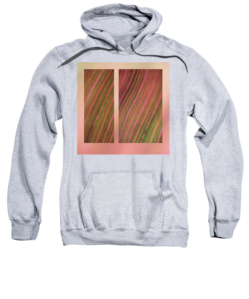 Abstract Sweatshirt featuring the photograph Canna by Karen Rispin