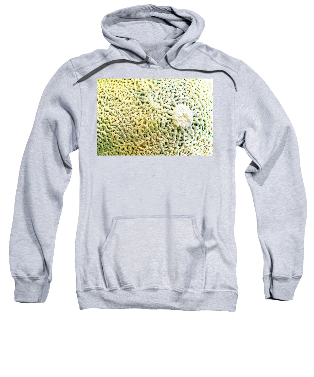 Foodphotography Sweatshirt featuring the photograph Can't Elope by Jay Heifetz