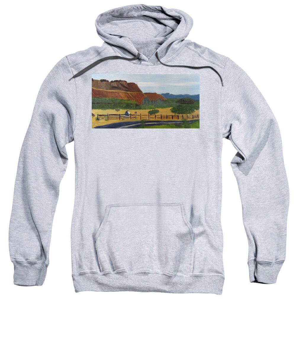 Idaho Sweatshirt featuring the painting Celebration Park by Linda Feinberg