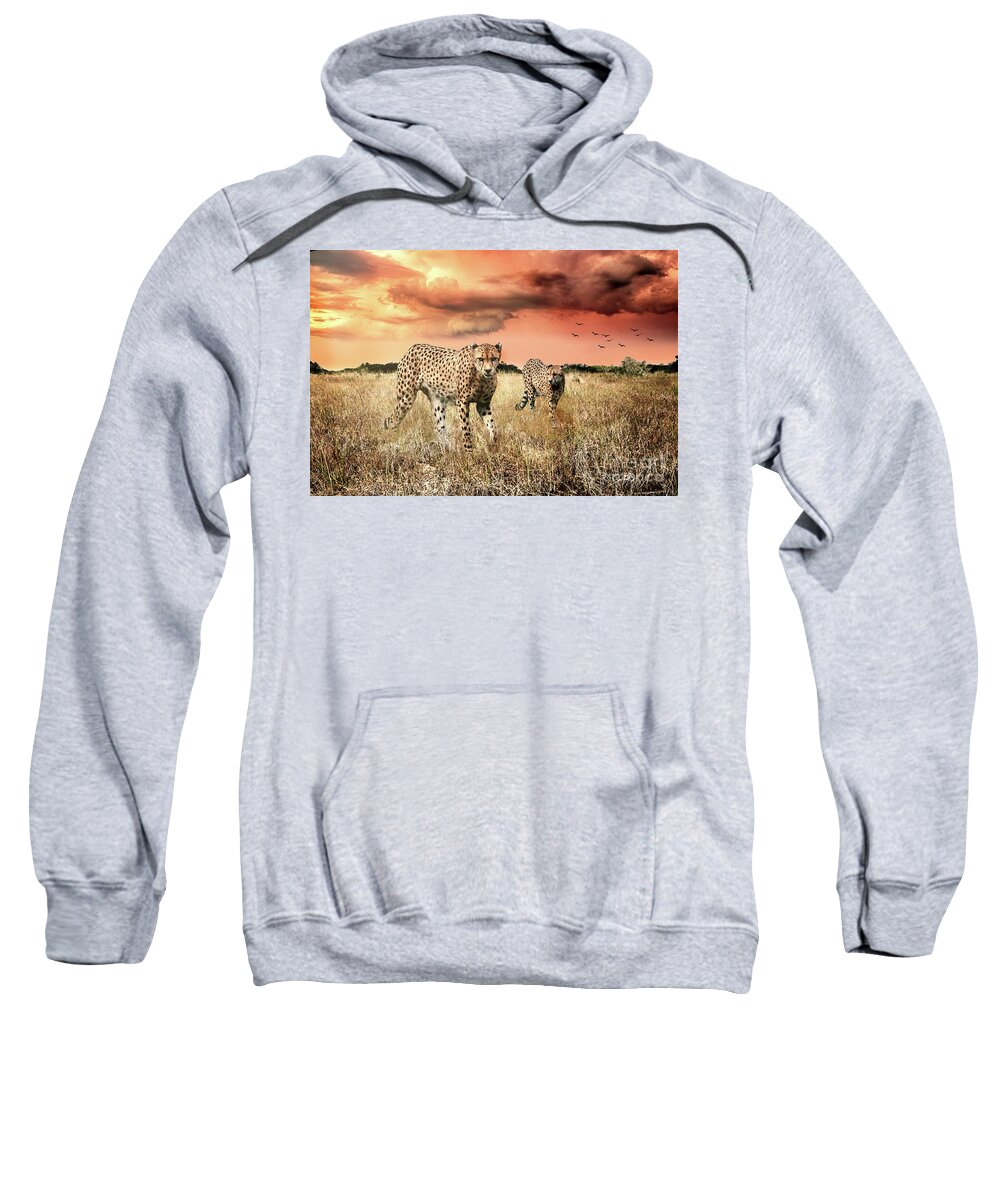 Cheetah Sweatshirt featuring the photograph Cheetah Hunt by Ed Taylor