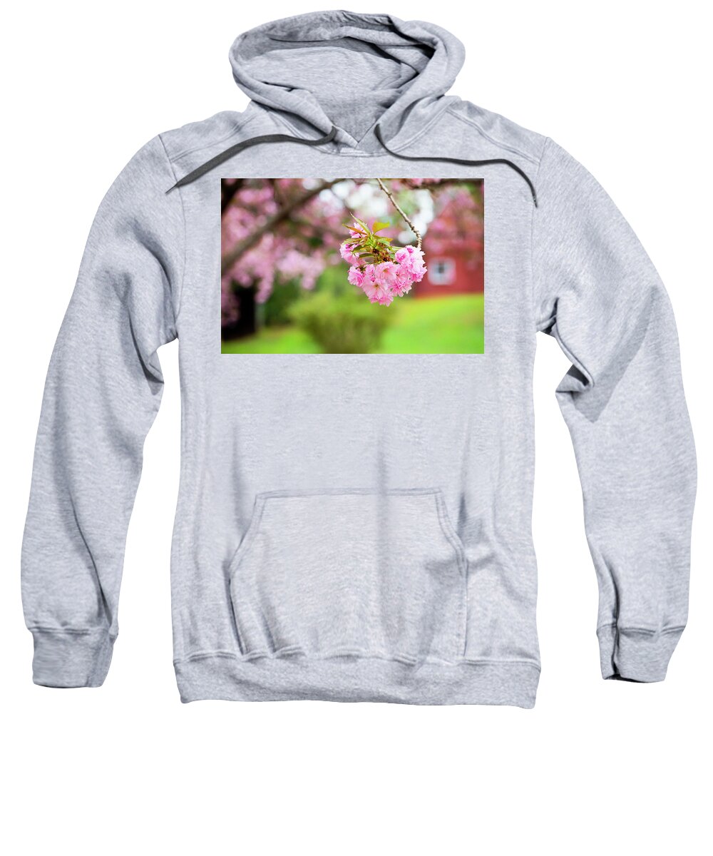 North Wilkesboro Sweatshirt featuring the photograph Cherry Blossoms and Farm Buildings by Charles Floyd