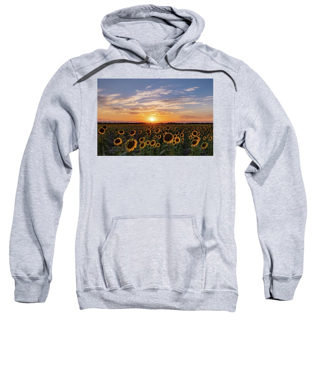 Sunset Sweatshirt featuring the photograph Colorado Sunflower Field at Sunset by Phillip Rubino