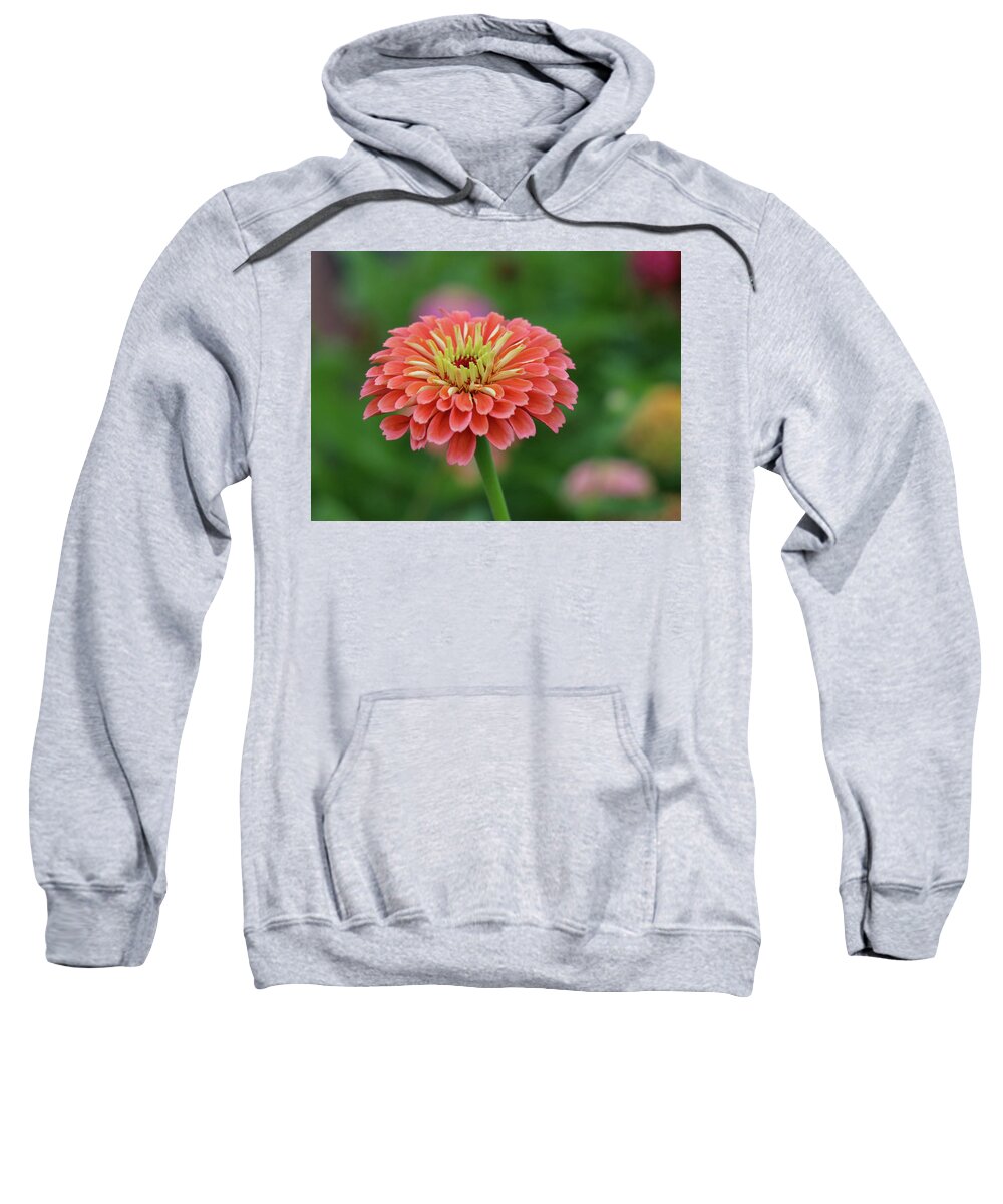 Garden Sweatshirt featuring the photograph Coral Crush by Mary Anne Delgado
