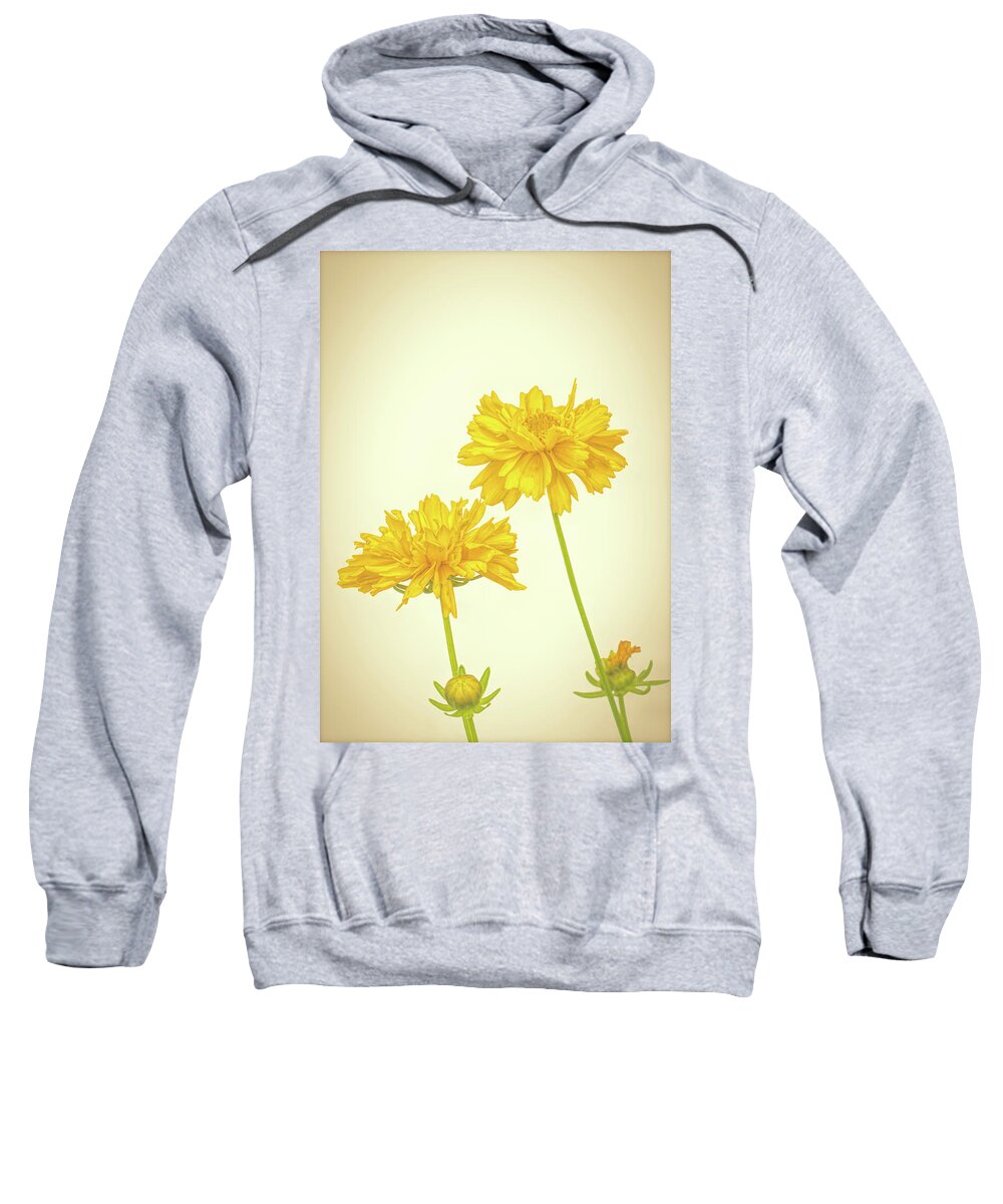 High Key Sweatshirt featuring the photograph Coreopsis by Allin Sorenson