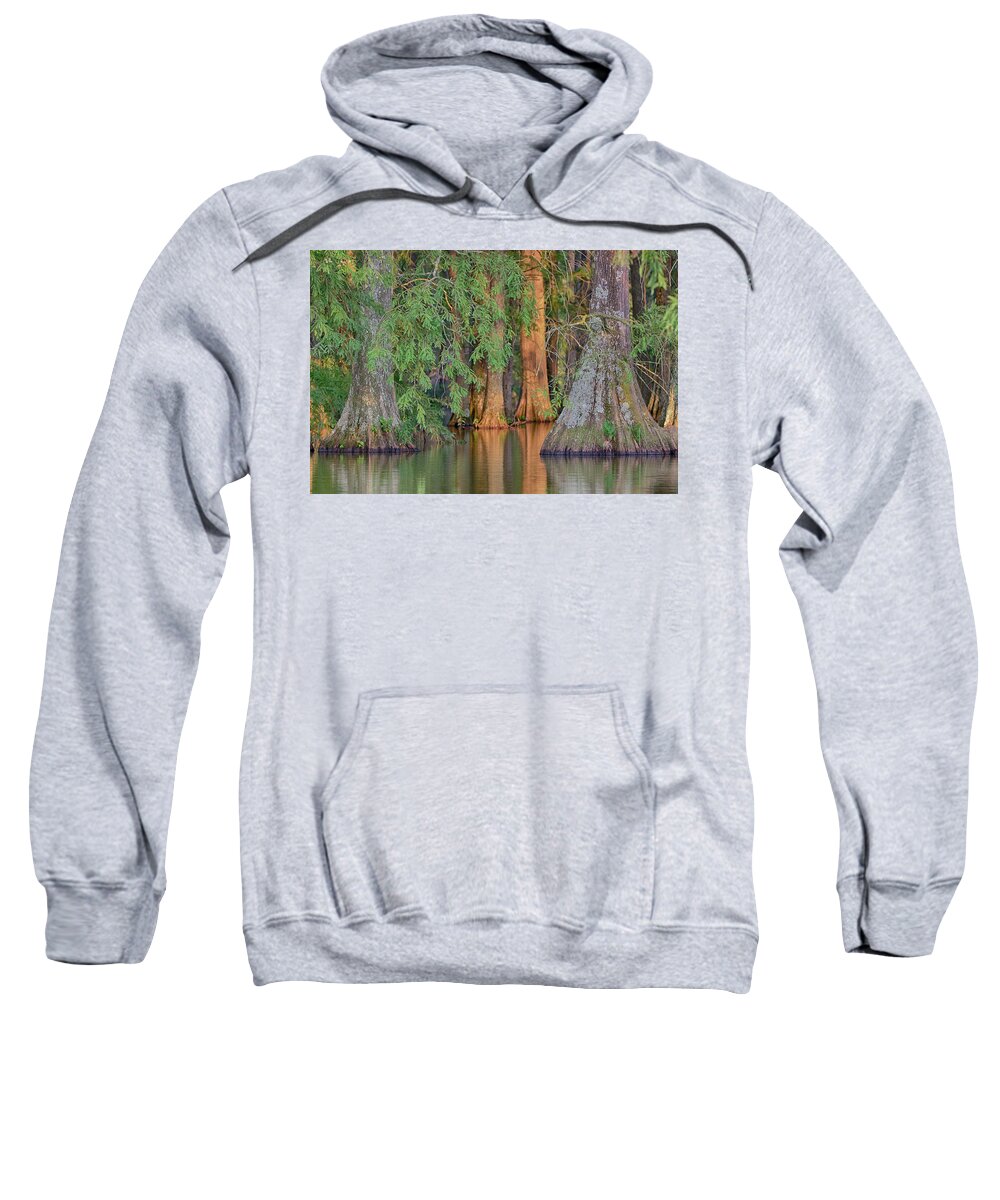 Cypress Sweatshirt featuring the photograph Cypress Avenue by Jim Cook