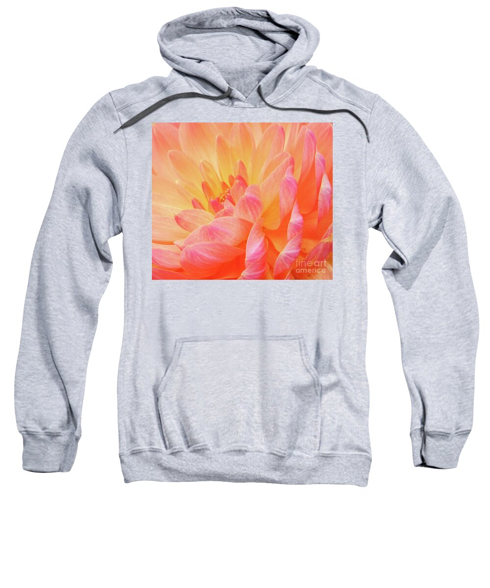 Florals Sweatshirt featuring the photograph Dahlia - Floral Close Up by Rehna George