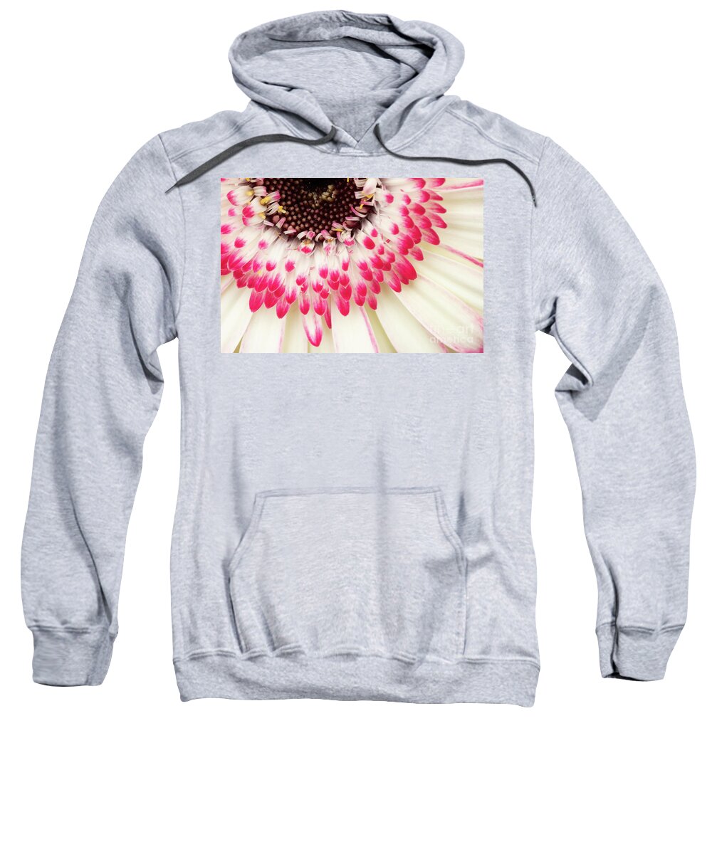 Abstracts Sweatshirt featuring the photograph Daisy Dipped by Marilyn Cornwell