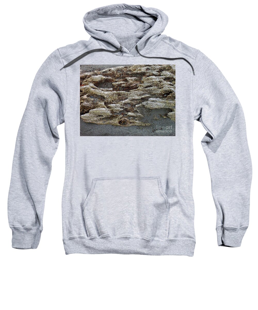 Walk Sweatshirt featuring the photograph Decay by Mary Mikawoz