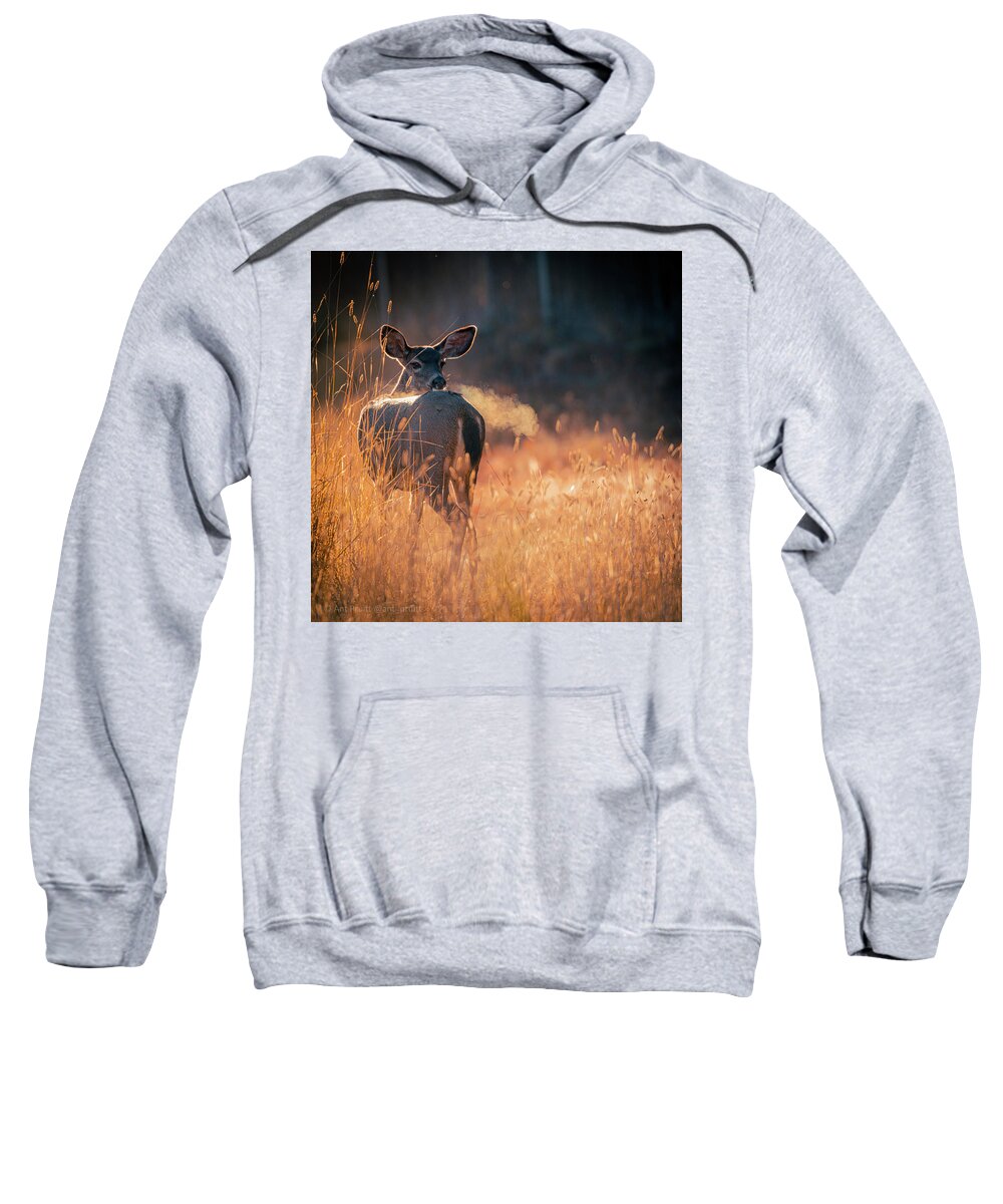 October Sweatshirt featuring the photograph Deer Morning by Ant Pruitt