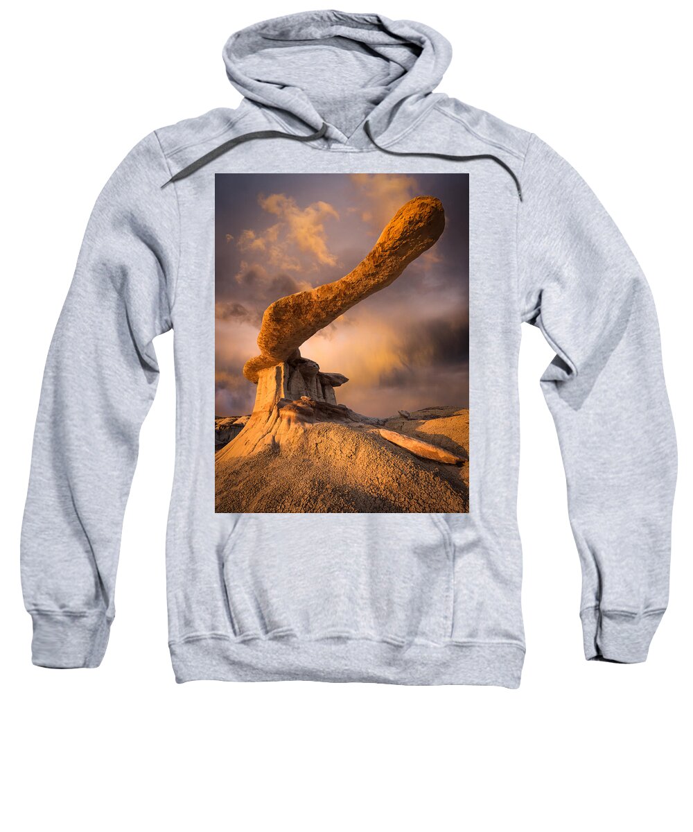 King Of Wings Sweatshirt featuring the photograph Defiance by Peter Boehringer