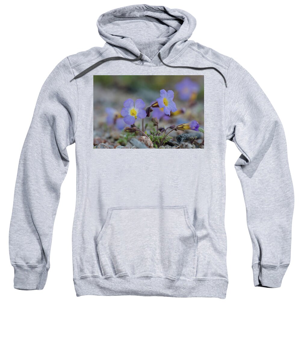 Fremont's Phacelia Sweatshirt featuring the photograph Desert Life by Margaret Pitcher