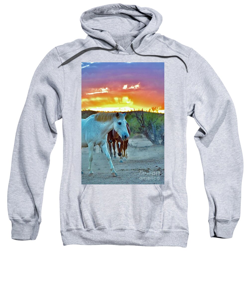 Salt River Wild Horses Sweatshirt featuring the digital art Desert Sunset by Tammy Keyes
