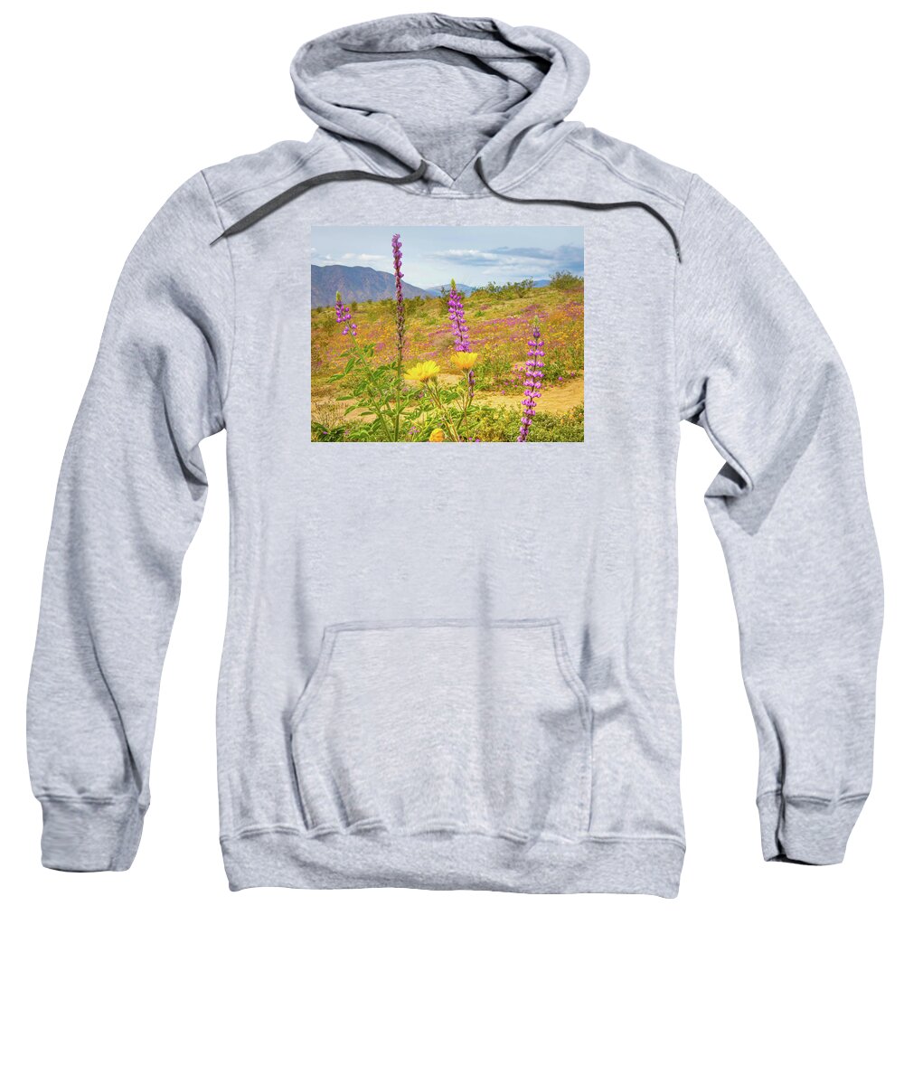 Wildflowers Sweatshirt featuring the photograph Desert Wildflowers by Rebecca Herranen
