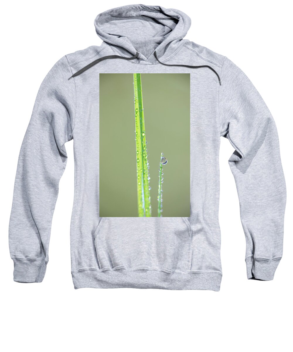 Dew Sweatshirt featuring the photograph Dew Drop On Grass by Karen Rispin