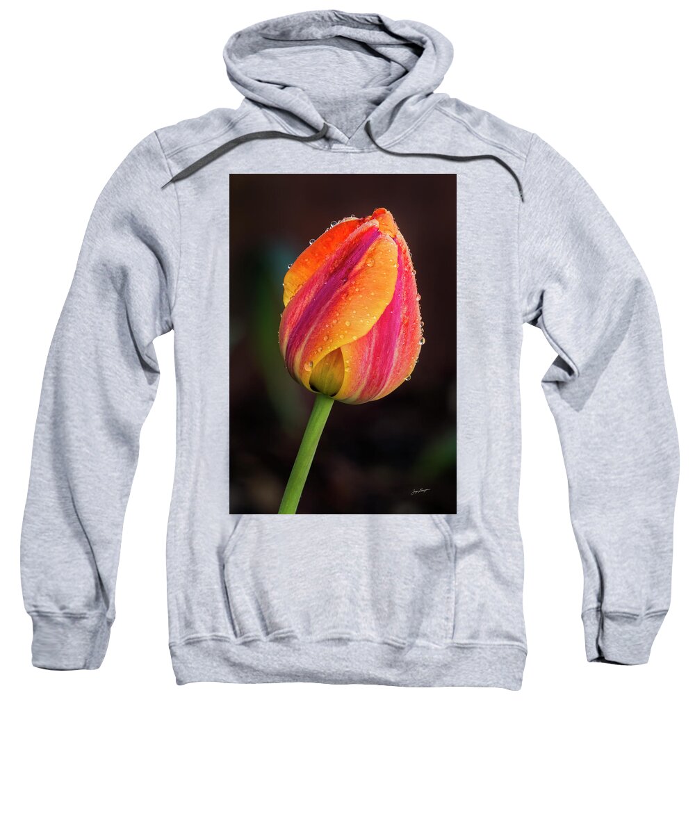 Tulip Sweatshirt featuring the photograph Dew Drop Tulip by Jurgen Lorenzen