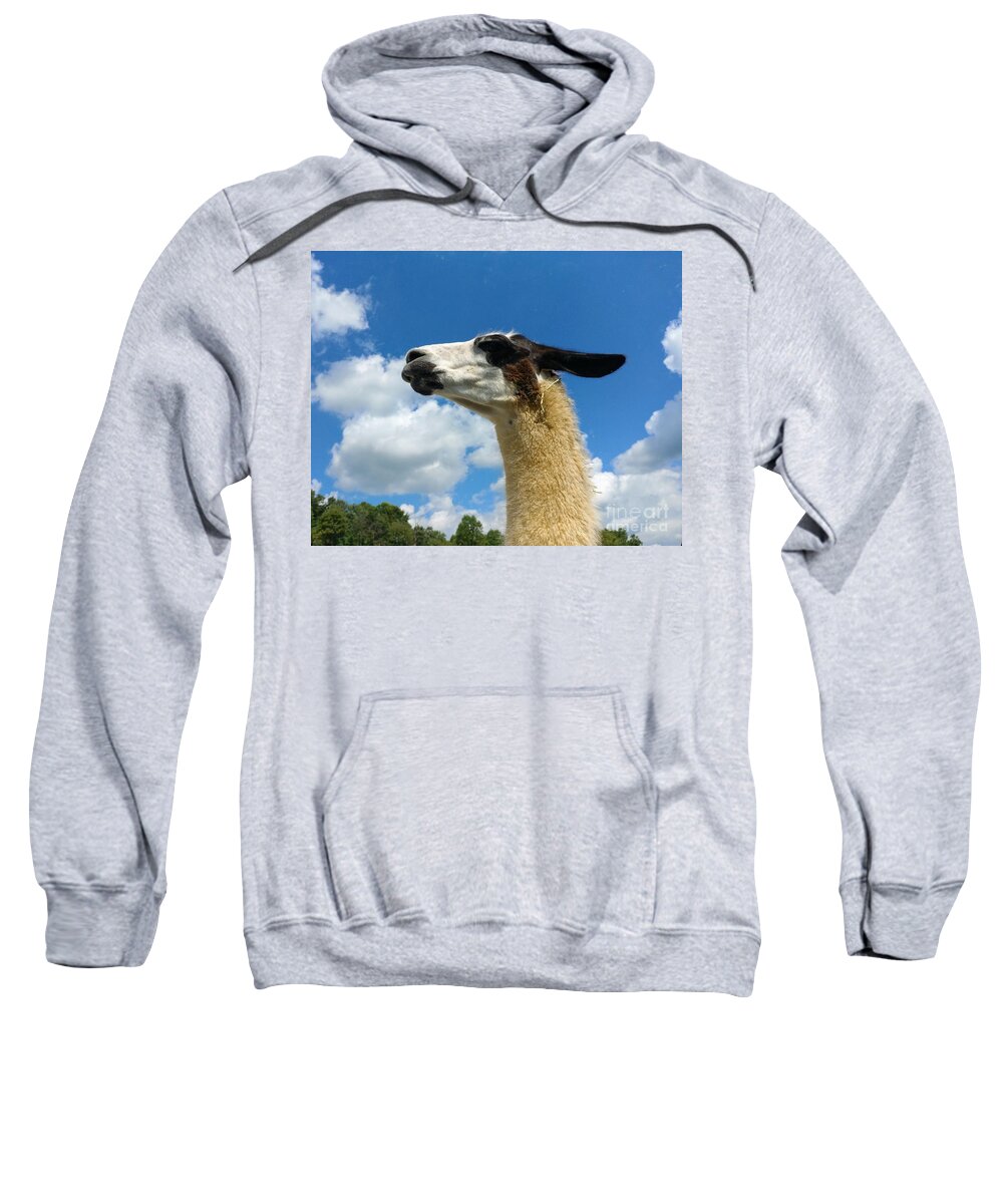 Llama Sweatshirt featuring the painting Dignified Llama by Elena Pratt