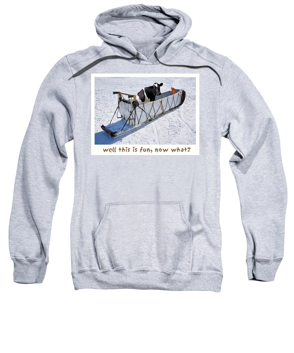Adventurers Of Sadie And Emma Sweatshirt featuring the photograph Dog Sled with Sadie and Emma- no dogs by James Bethanis