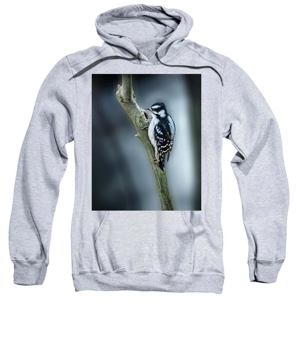 Downy Woodpecker Sweatshirt featuring the photograph Downy Woodpecker by Alexander Image