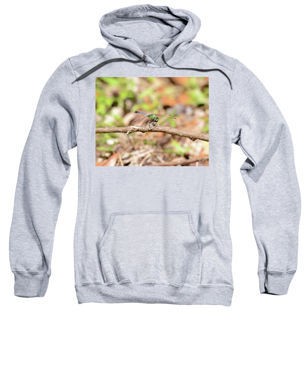  Sweatshirt featuring the photograph Dragon 3 by David Armstrong