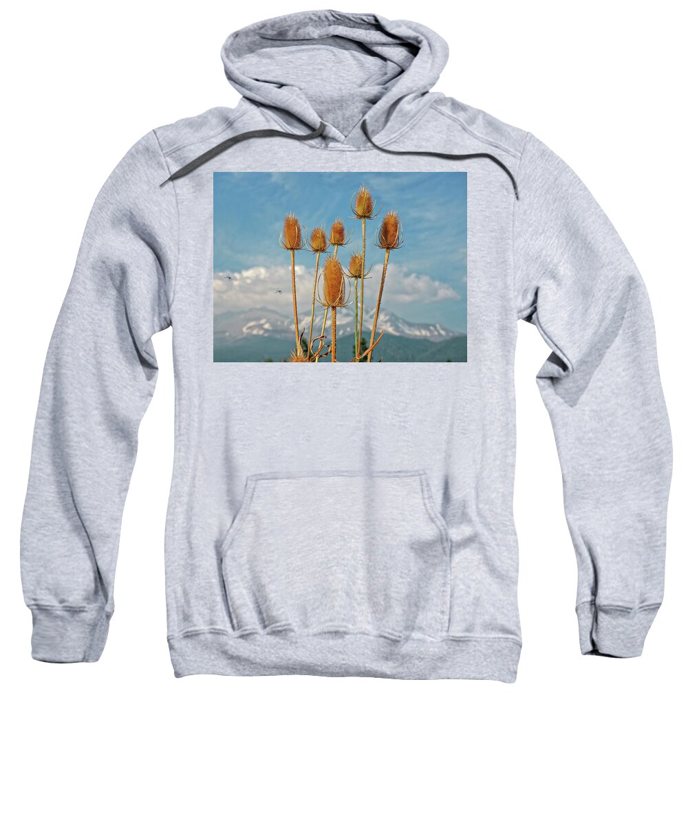 Spiritual Adventures Sweatshirt featuring the photograph Dragon Flies and Flowers with a view of Mt Shasta by Rebecca Dru