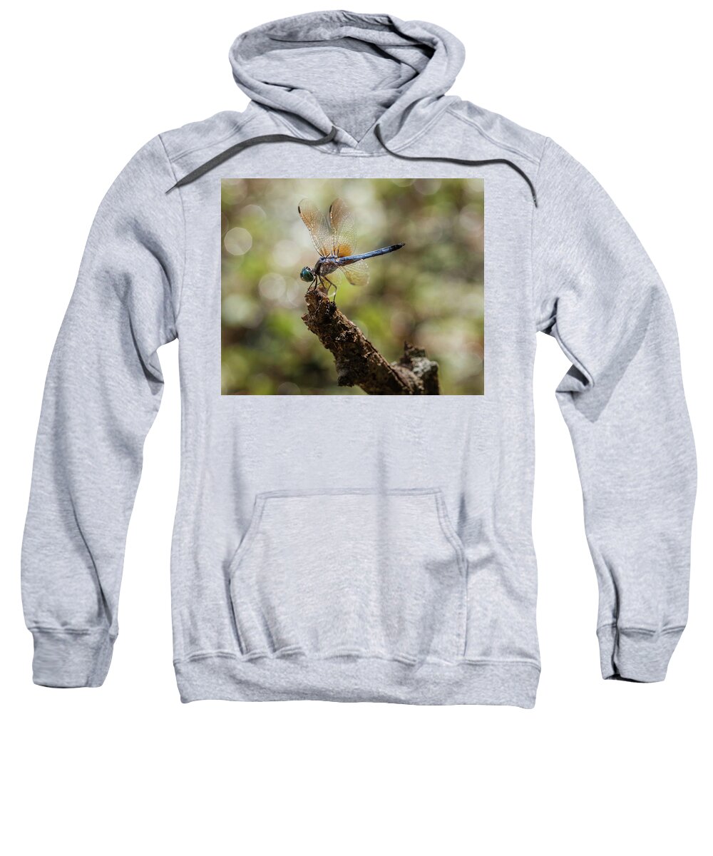 Insect Sweatshirt featuring the photograph Dragonfly by Grant Twiss