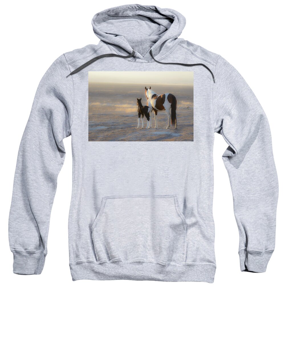Wild Horses Sweatshirt featuring the photograph Dream by Mary Hone