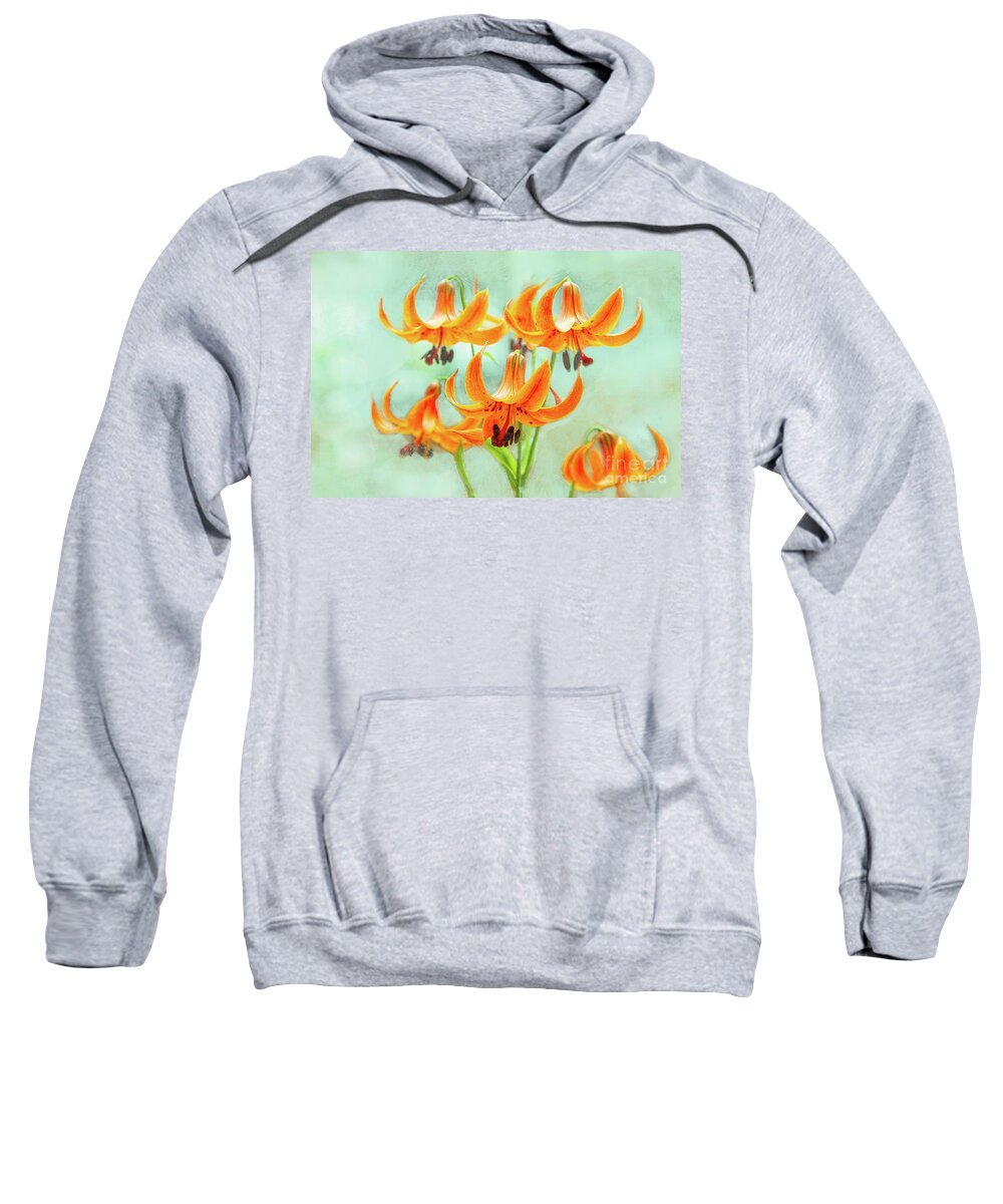 Gardens Sweatshirt featuring the photograph Dreams Come True by Marilyn Cornwell