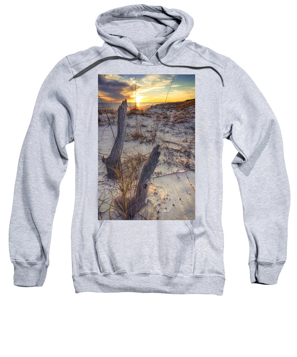 Florida Sweatshirt featuring the photograph Stumps in the Sand at Sunset by Mike Whalen