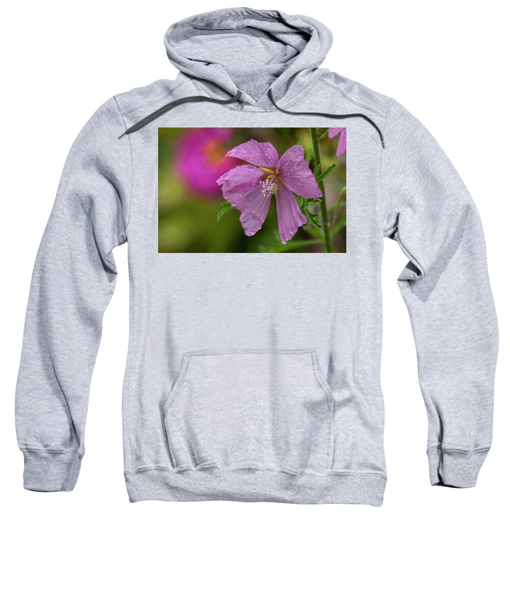 Anthers Sweatshirt featuring the photograph Drizzle on Sidalcea by Robert Potts