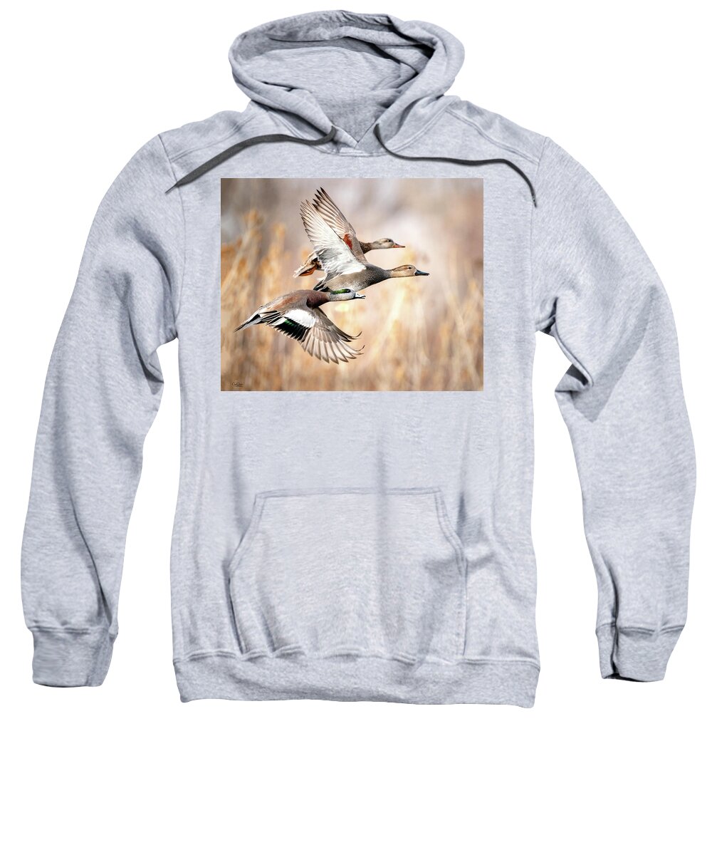 Ducks Sweatshirt featuring the photograph Duck Flyaway by Judi Dressler