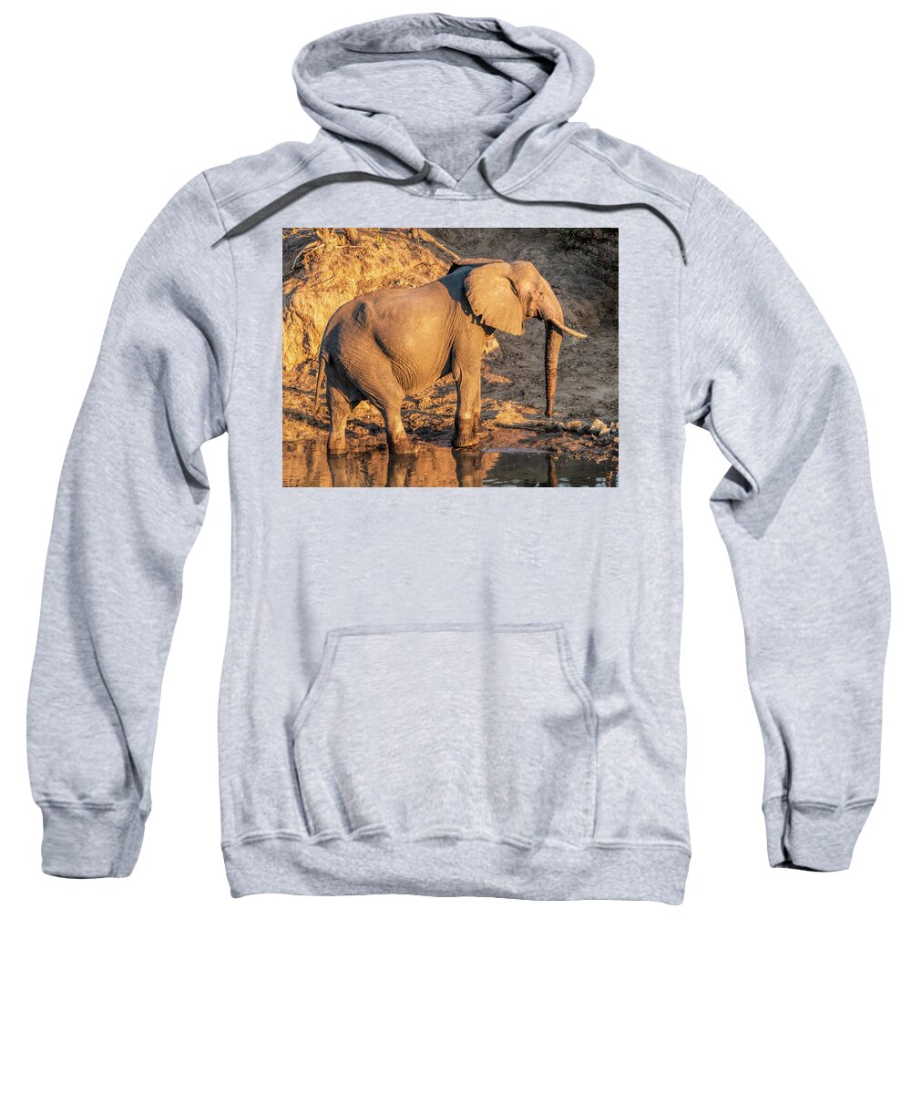 Africa Sweatshirt featuring the photograph Elephant at Dusk by Betty Eich