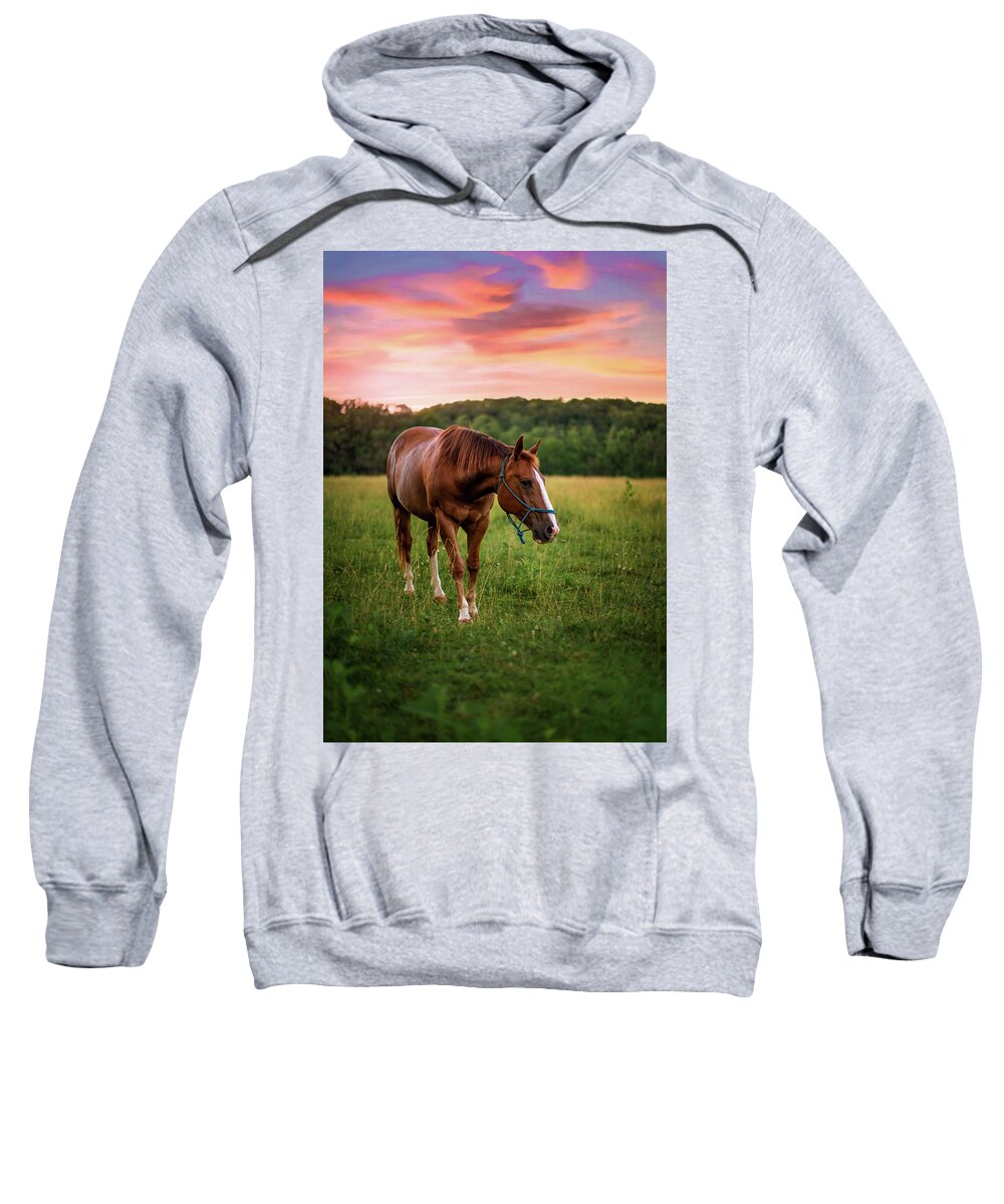 Horse Sweatshirt featuring the photograph End of Reign by Tricia Louque