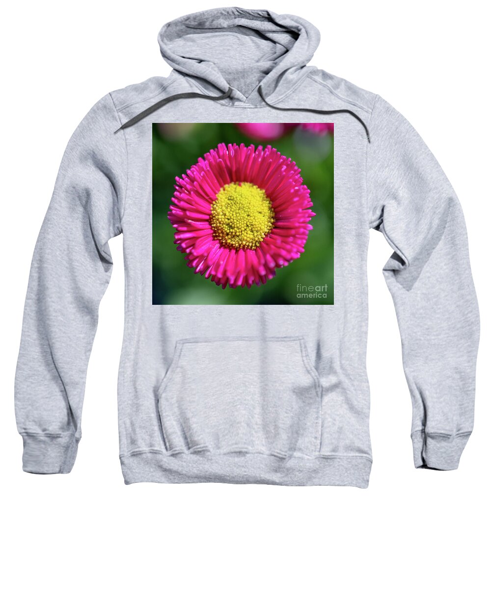 Flower Sweatshirt featuring the photograph English Daisy by Abigail Diane Photography