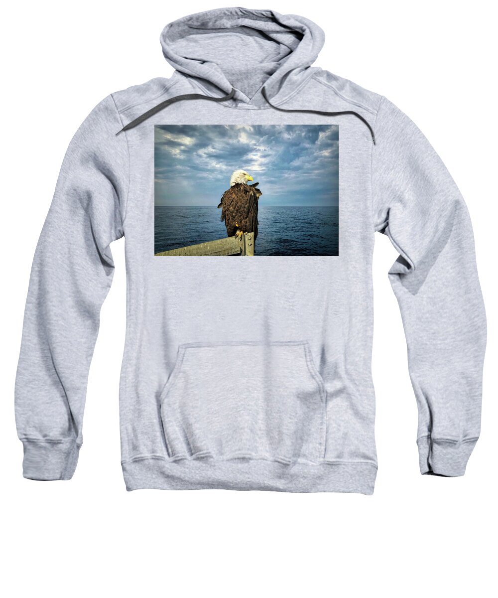 Bald Eagle Sweatshirt featuring the photograph Enjoying a Maine Sky by Jack Wilson
