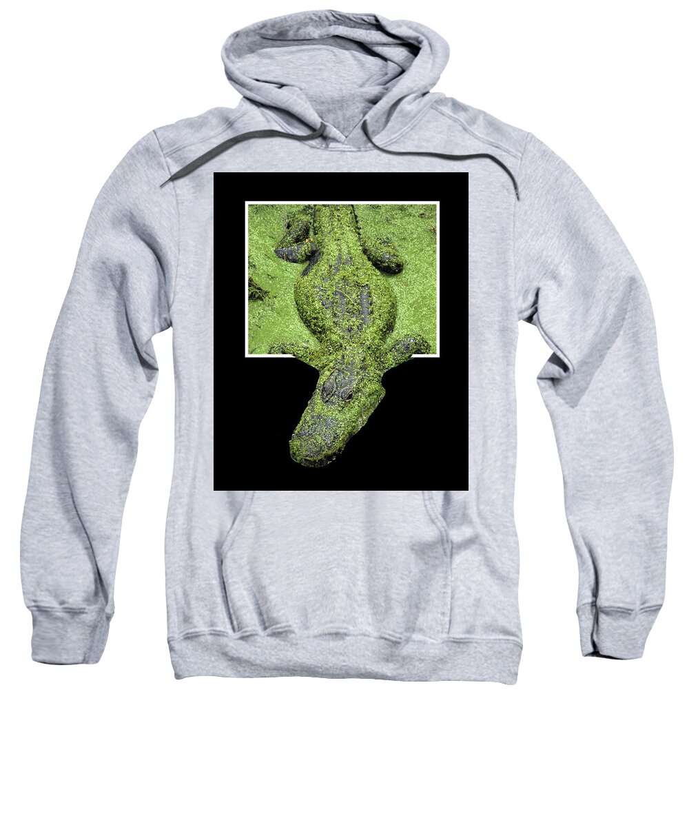Alligator Sweatshirt featuring the photograph Escaping Gator by Jerry Griffin